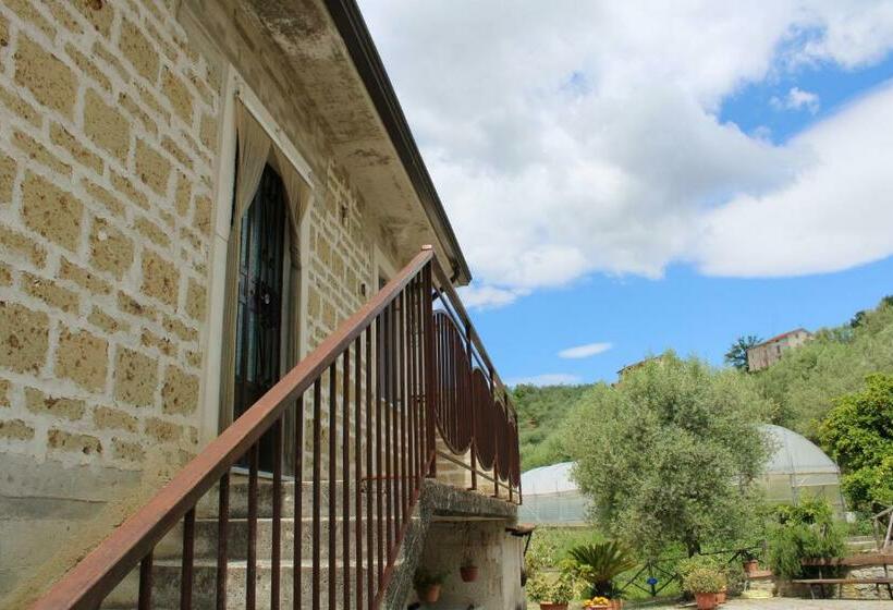 Отель Casale Degli Ulivi