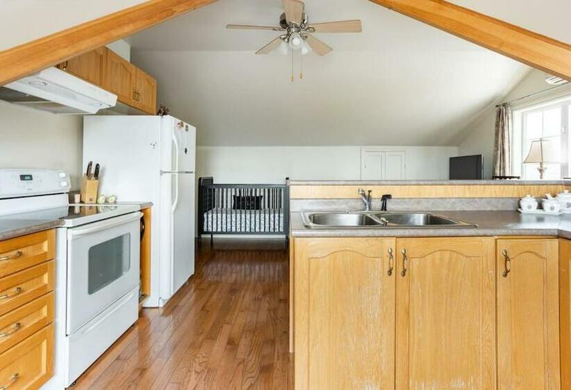 פנסיון The Loft! Private, Cozy, Quiet, In Nature, 1 Or 2 Bedroom, Steep Steps Up
