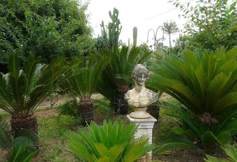پانسیون Villa Yucca