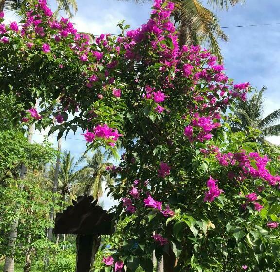 تختخواب و صبحانه Meno Madia Bungalows