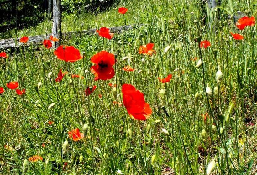 Cascina Ciosse B&b