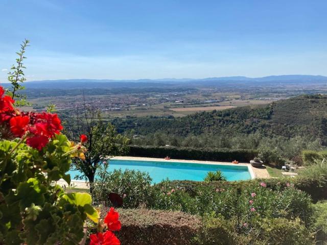Отель Agriturismo Cima Alla Serra