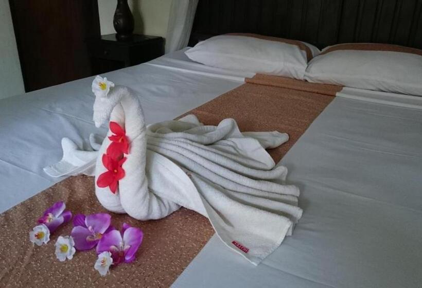 پانسیون Barracuda Beach Hostel