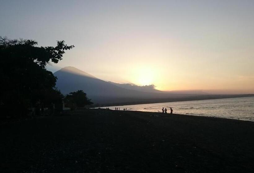 پانسیون Barracuda Beach Hostel