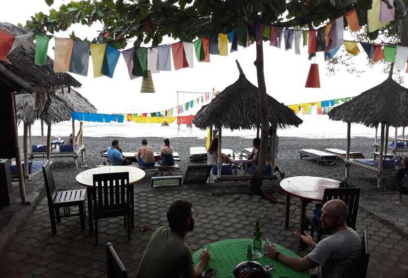 پانسیون Barracuda Beach Hostel
