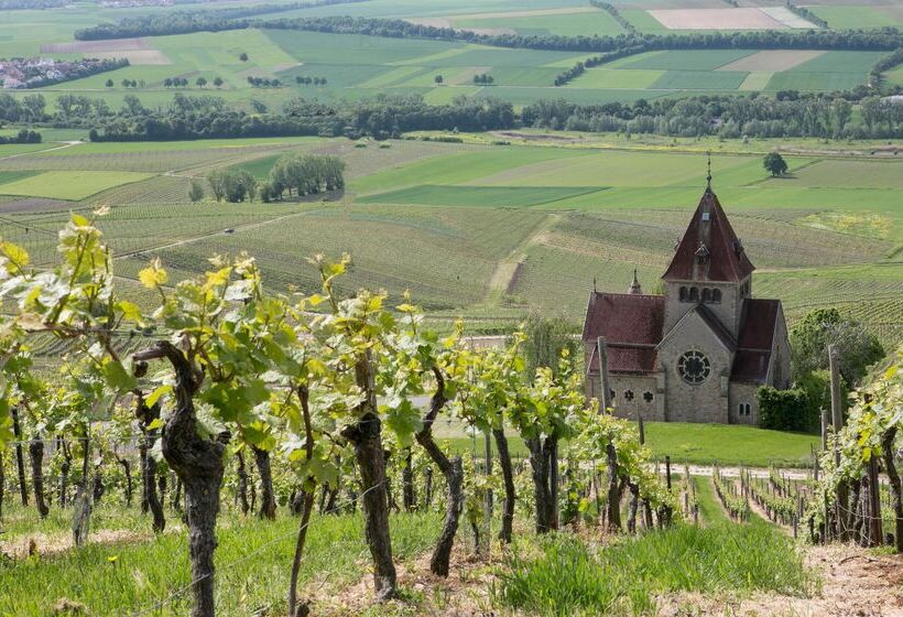 ホテル Hofgut Wißberg  Das Weinberg