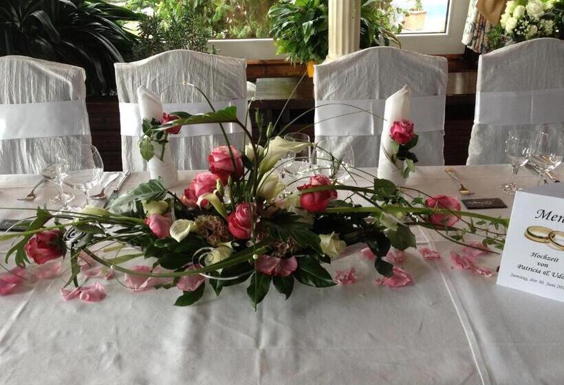 فندق Zum Weißen Stein