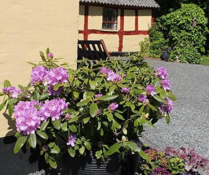 Munkebjerg Bed & Breakfast