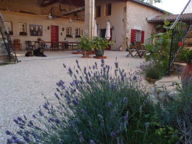 Bed and Breakfast Ferme Robin