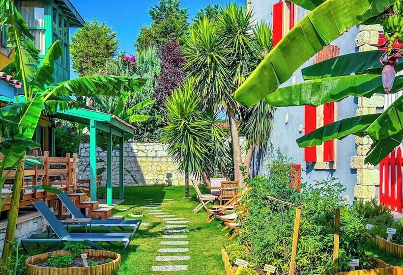 Banana Alaçatı Wellness Hotel   Adults Only