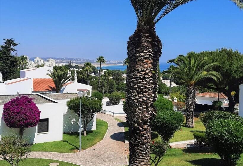 Armação De Pêra Brightness 2 With Pool By Homing