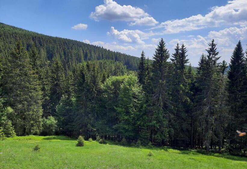 Velký Apartmán Cihlarka