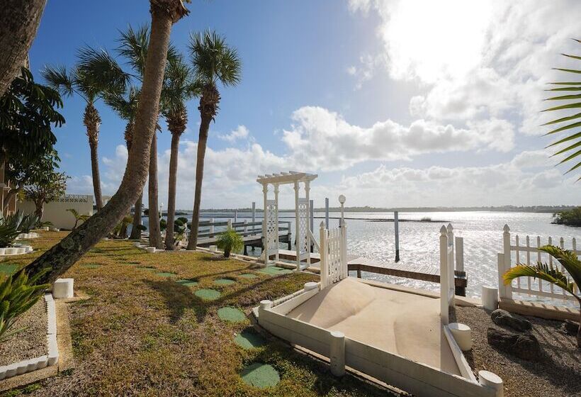 Intercoastal Dreams 101