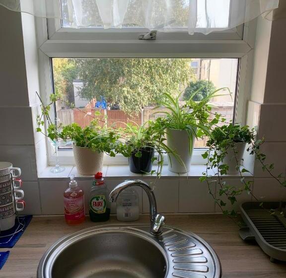 Apartments Near The Sea With Free Parking Southend On Sea