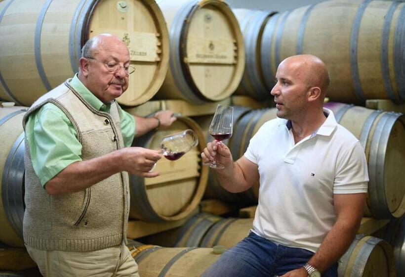 ホテル Weingut Und Gästehaus Zilliken