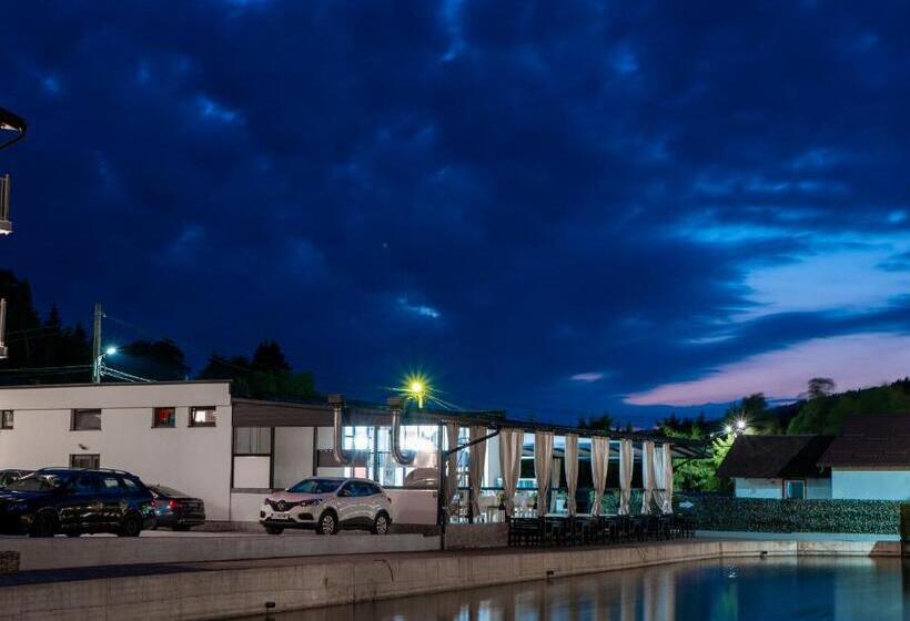 پانسیون Complex Pescăresc Gura Repezii Borșa