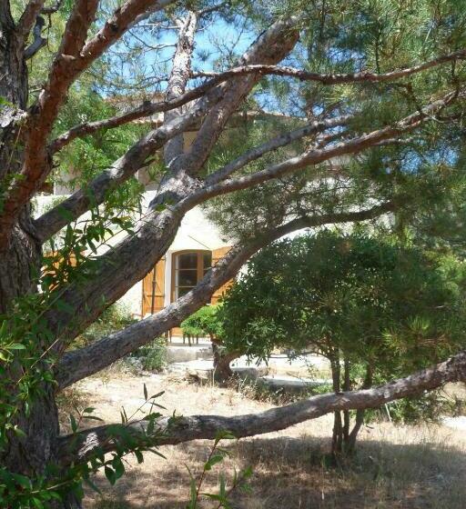 Bed and Breakfast Chez Nous Cassis
