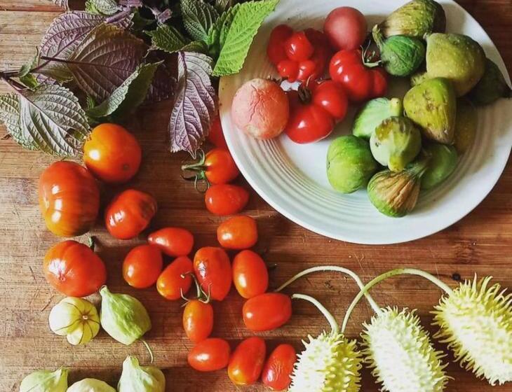 Dimora Storica Nel Cuore Della Toscana