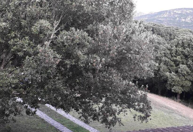 هتل Agriturismo La Tuva