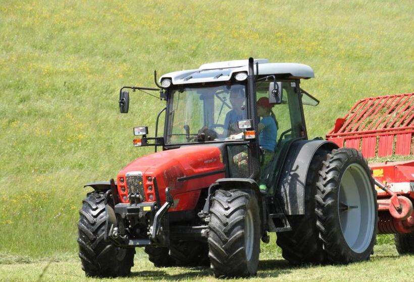 酒店 Biohof Bernhard