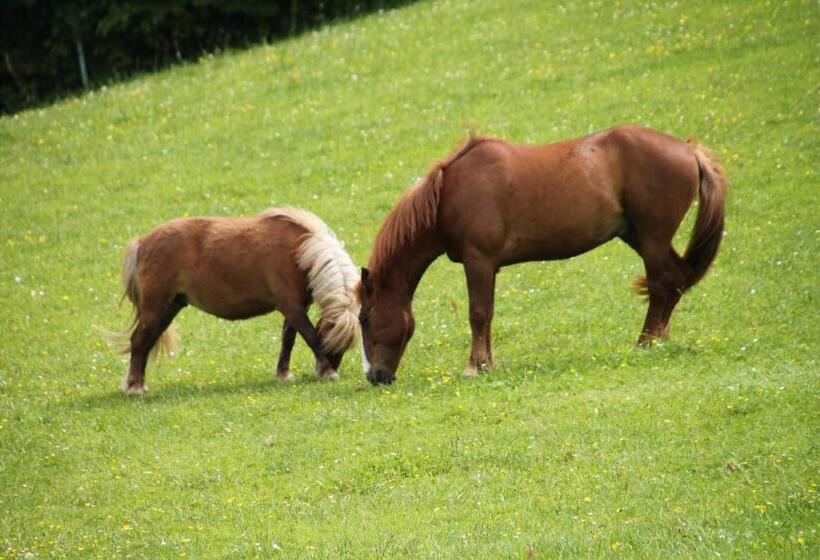 호텔 Biohof Bernhard