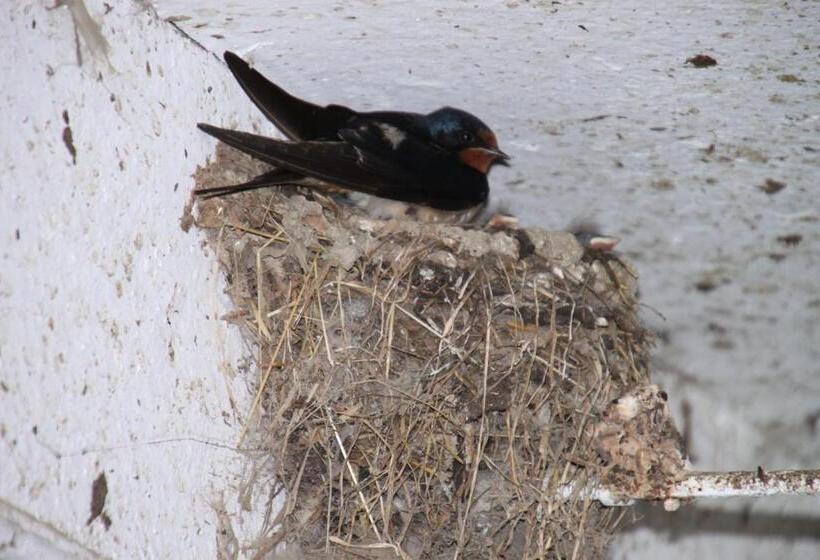 酒店 Biohof Bernhard