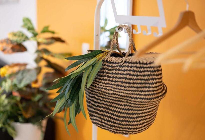 Les Franklins Appartements Hyper Centre Mulhouse