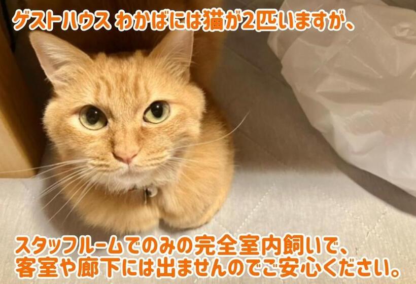 Pension ゲストハウスわかばguesthouse Wakaba In Iwami
