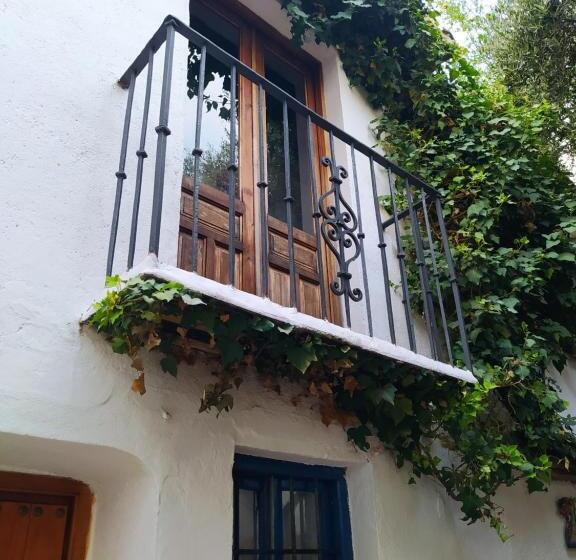 هاستل Amaka House