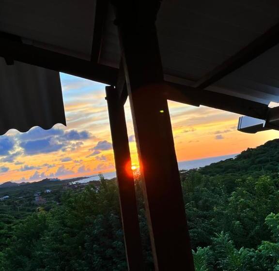 هتل Palomar Ecocabaña