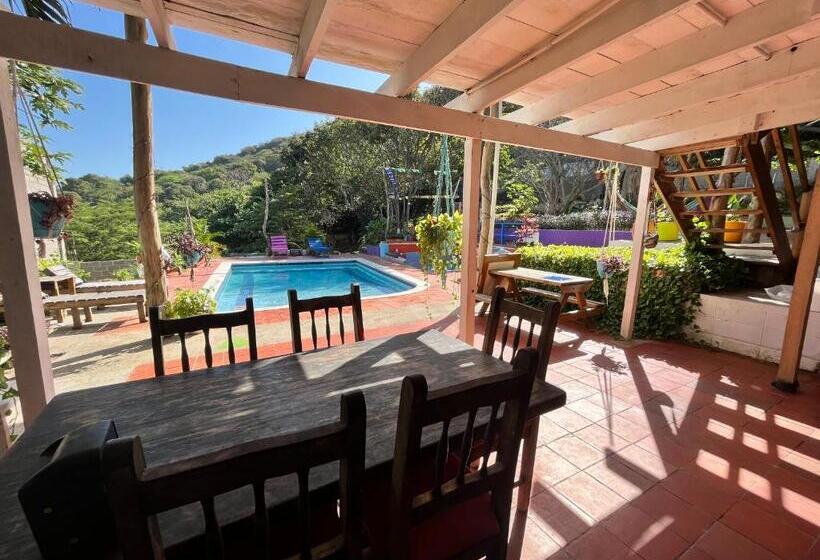 هتل Palomar Ecocabaña