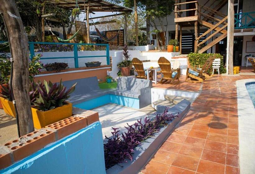 هتل Palomar Ecocabaña