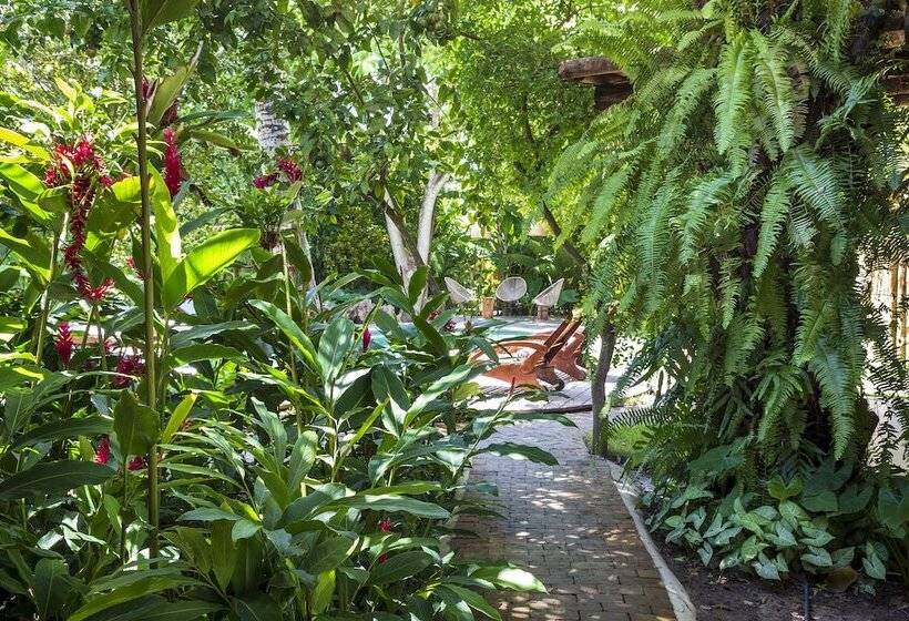 پانسیون Casa Das águas Trancoso