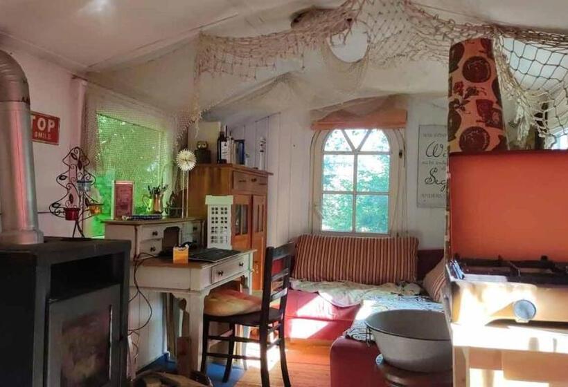 Trailer Dschungel Lodge