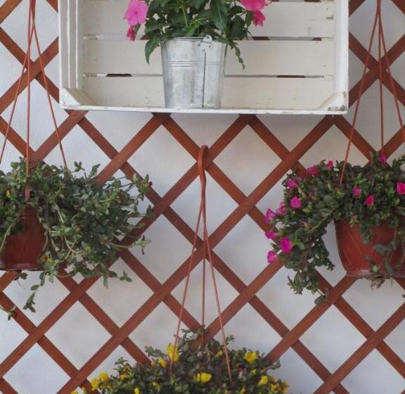 تختخواب و صبحانه Playa Dei Turchi