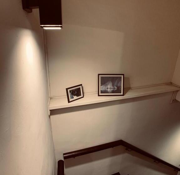 هاستل Lazy Bone