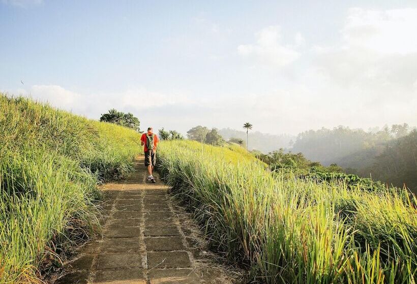هتل Gdas Bali Health And Wellness Resort