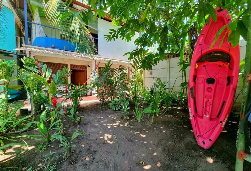 Пансион Wildlife Tortuguero