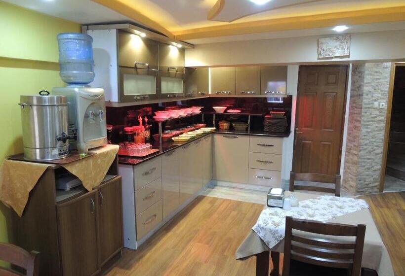 هتل Adana Saray