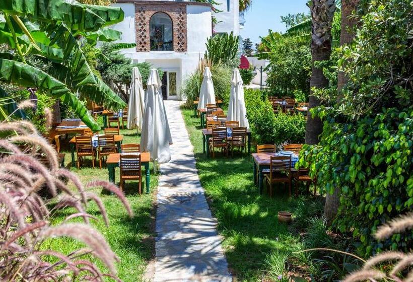 فندق La Brezza Suite &