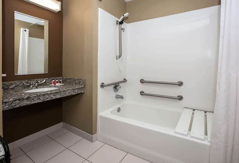 Microtel Inn And Suites Pecos