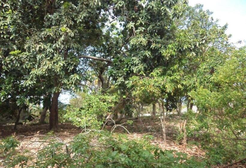 هاستل Posada Nativa Shingle Hill