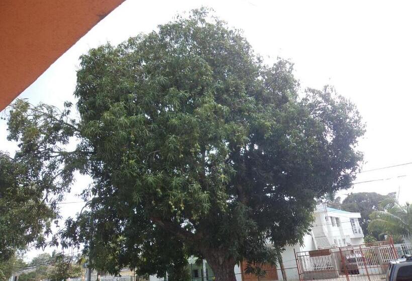 هاستل Posada Nativa Shingle Hill