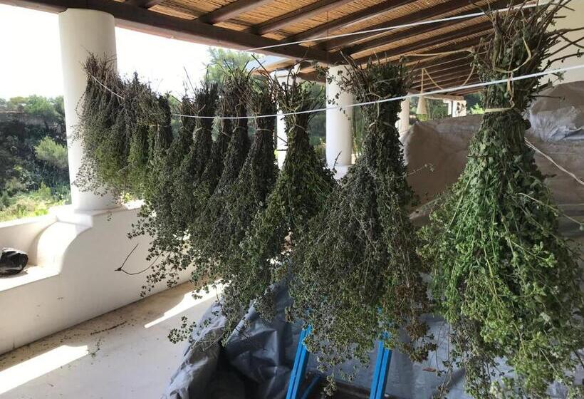 B&b Al Salvatore Di Lipari