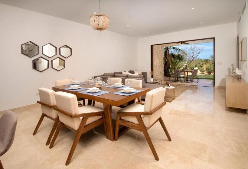 Bohari Palmilla