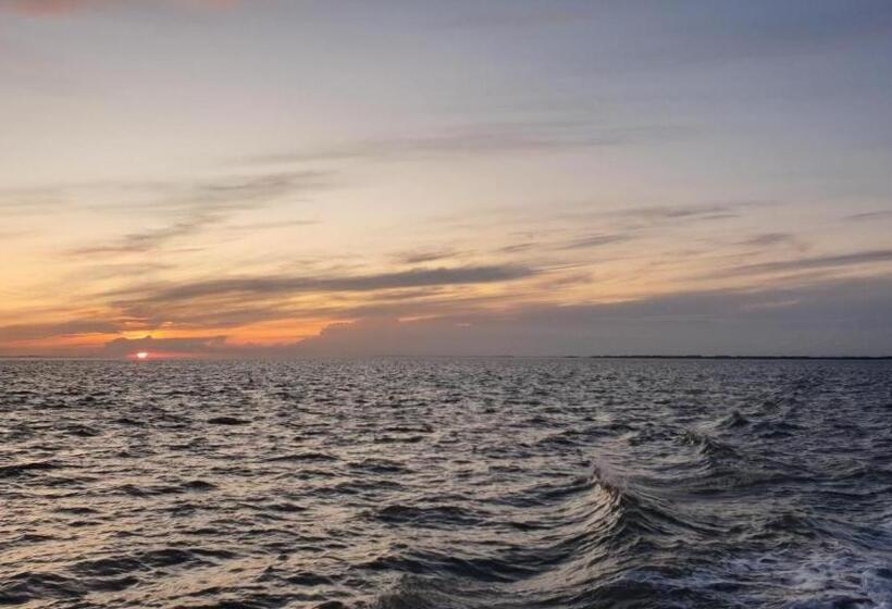 Ferienhaus Wiesenpieper