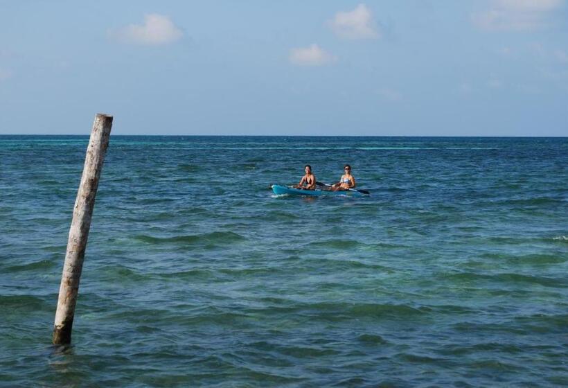 בית מלון כפרי Caye Caulker Condos