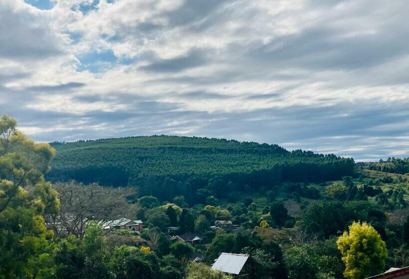 Пансион Su Casa Chase Valley