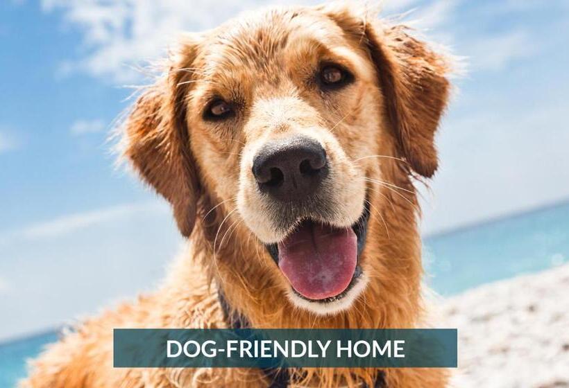 5170 Rva Hideaway 1 Mile To Beach