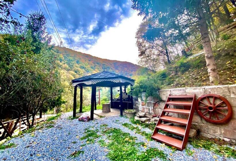 تختخواب و صبحانه Căsuța Din Pădure